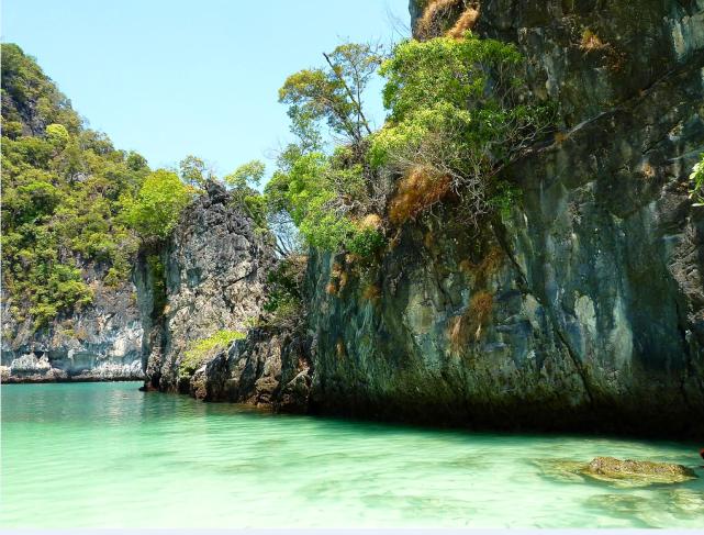 大连蛇岛20000条毒蛇吃什么,中国大连蛇岛蛇是怎么形成的