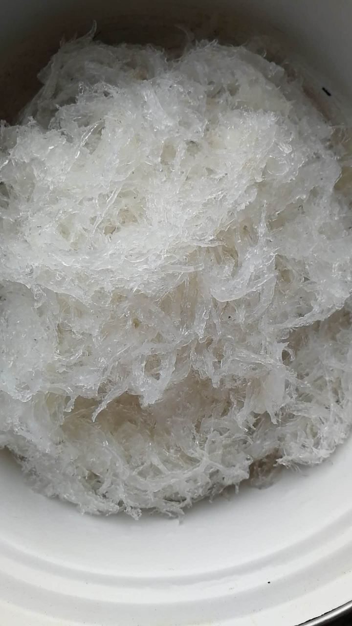 怎么辨别燕窝有没有加了双氧水,如何分辨药水泡过的花胶