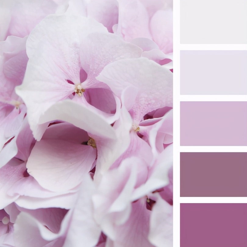 最佳紫色配色,柔和颜色搭配表及效果图片