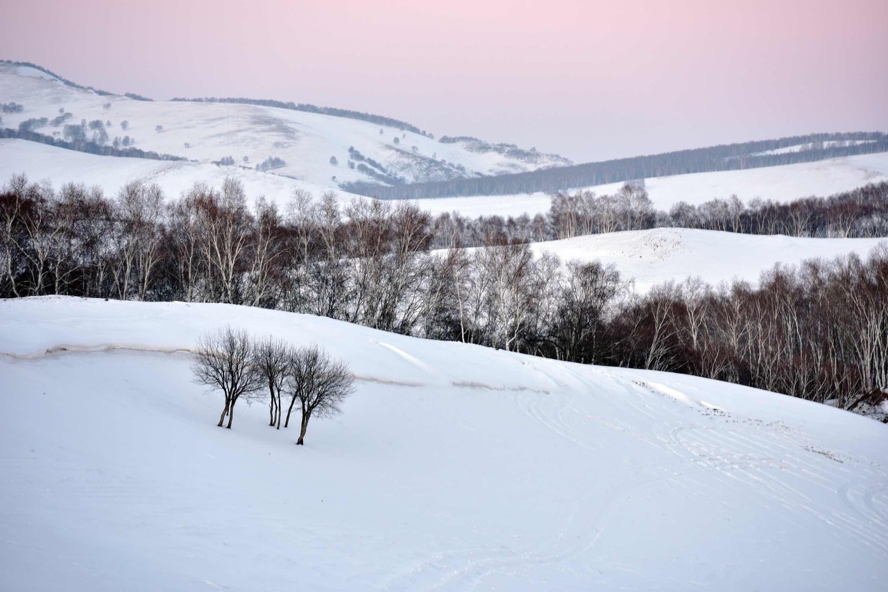 学习强国新题易错题,学习强国高频错题大全