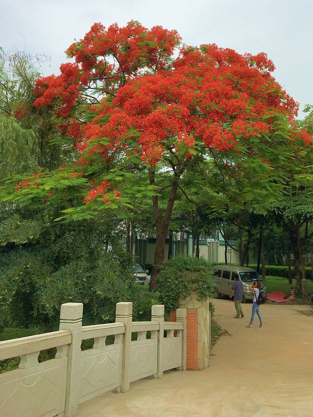 这个山洞可以装下万头大象？别瞎想，此“象”非彼“象”