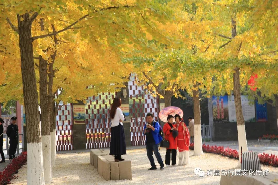秦皇岛秋天美景,秦皇岛秋天落日和晚风