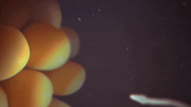 避孕不成功以后该怎么办,避孕失败了不想怀孕有什么办法