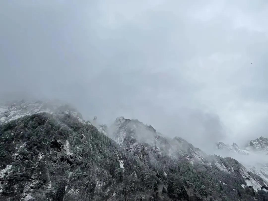 甲友心声患过甲癌的更长寿,甲友心声全文