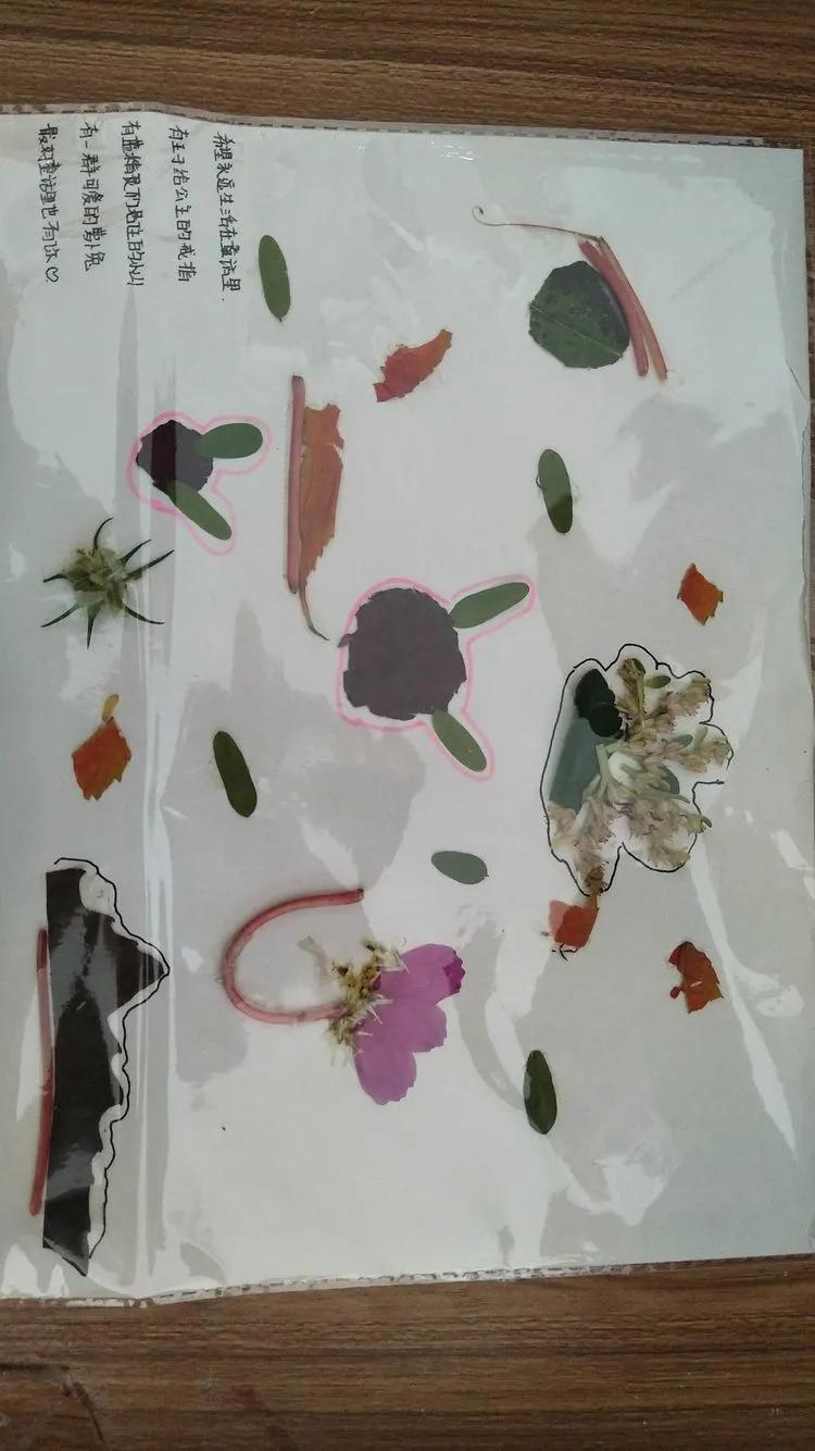 育才中学美丽校园,阜新市育才中学照片