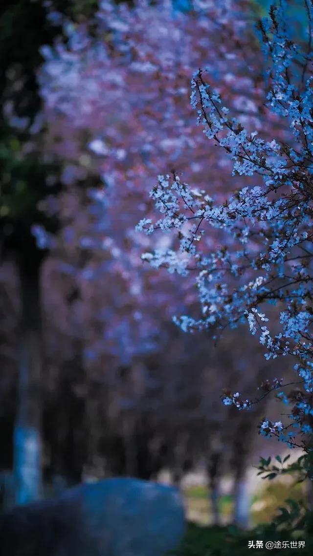 苏州周边自驾游最佳景点,苏州火车站周边景点一日游
