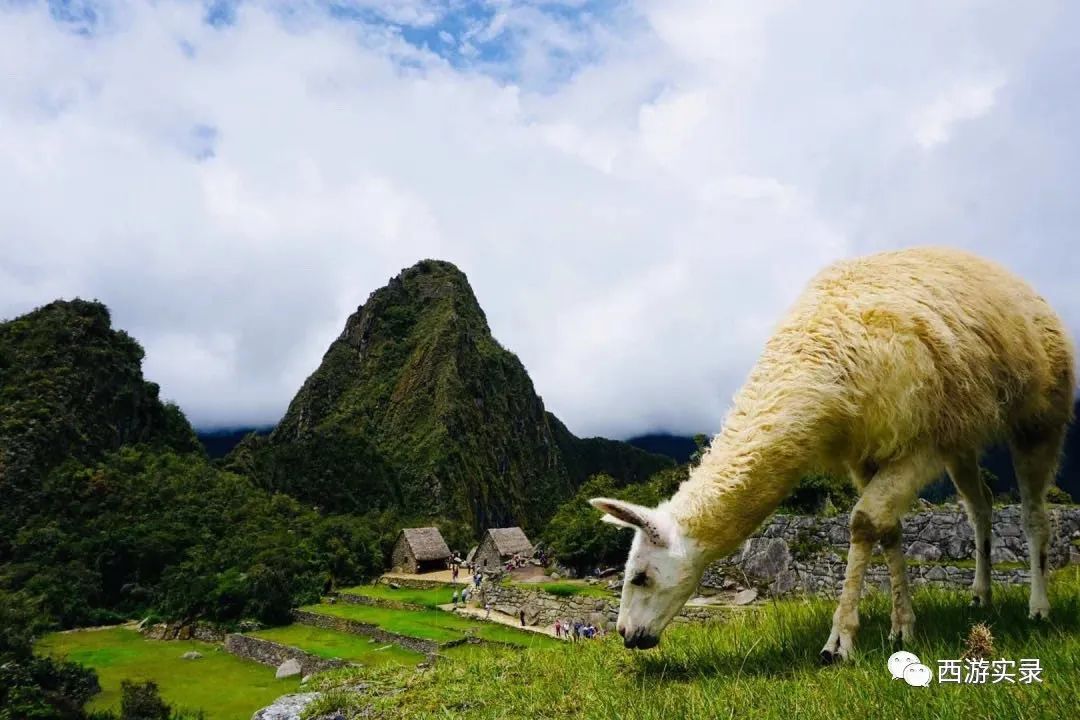 流浪地球载人的使命,流浪地球最后5000公里
