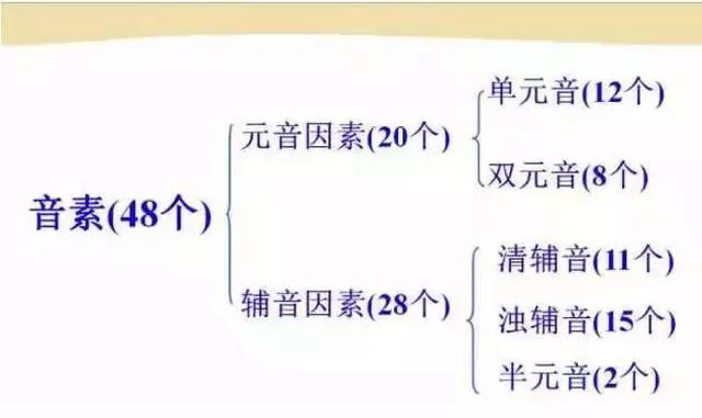 张中军音标发音48个教学视频合集,音标发音48个正确发音讲解视频
