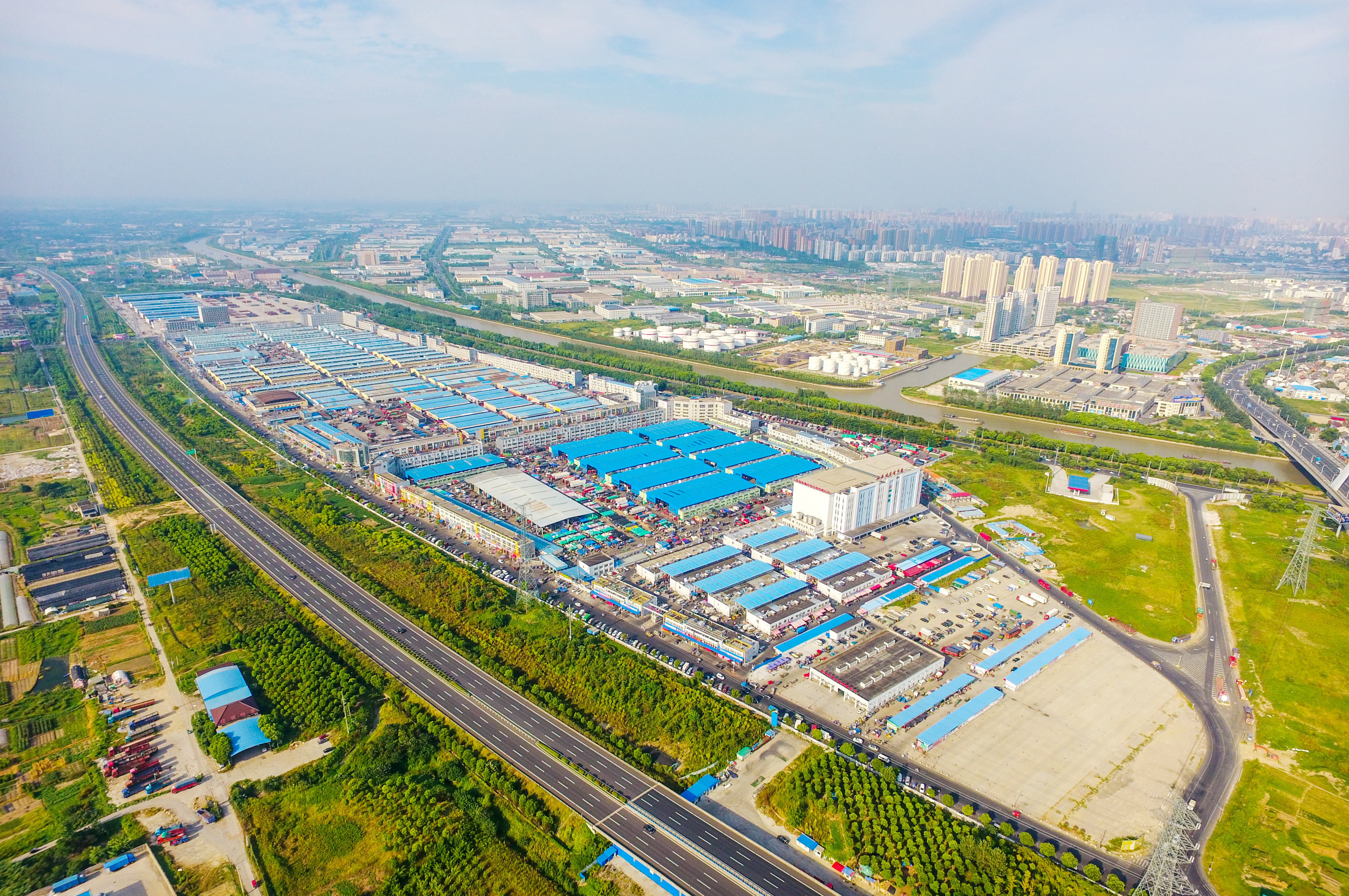 张建方,张建方蟹苗