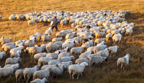褰╃エ涓殑鏁板鐭ヨ瘑澶у叏,褰╃エ鏁板鎺ㄥ鍏紡鍙婅儗鍚庣殑濂ョ