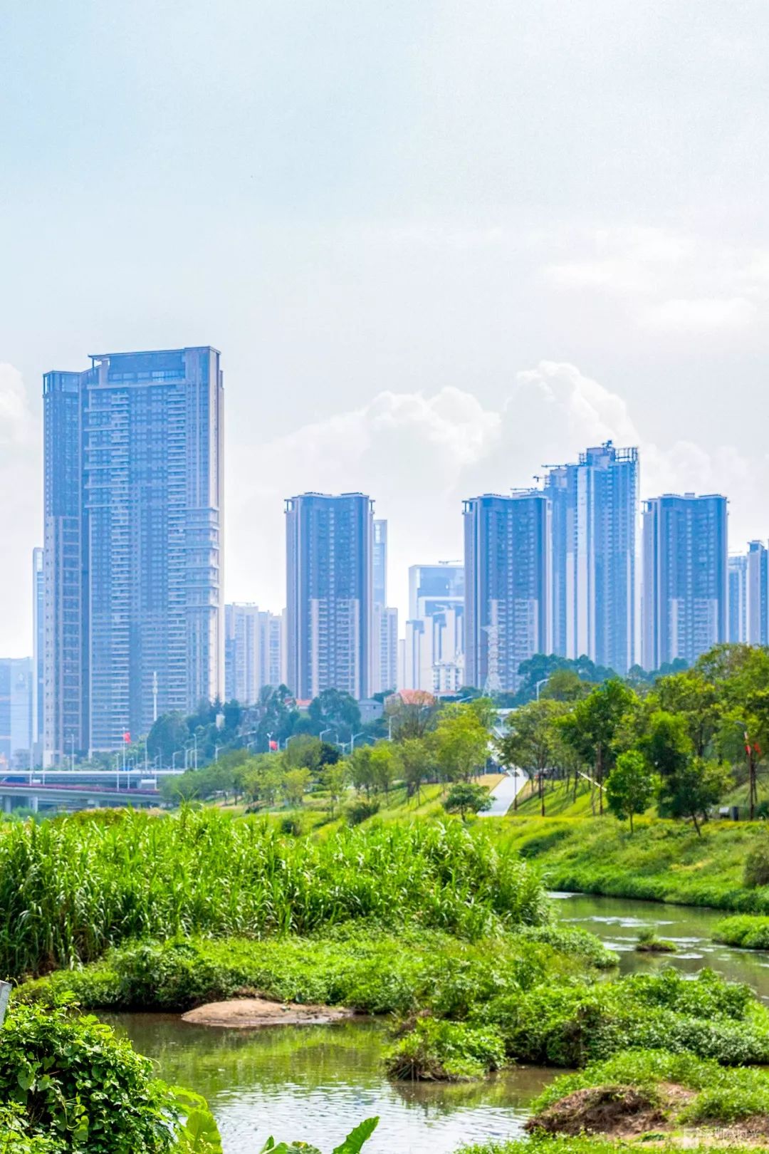 盼了1年！南山新地标“塞纳河”惊艳露面