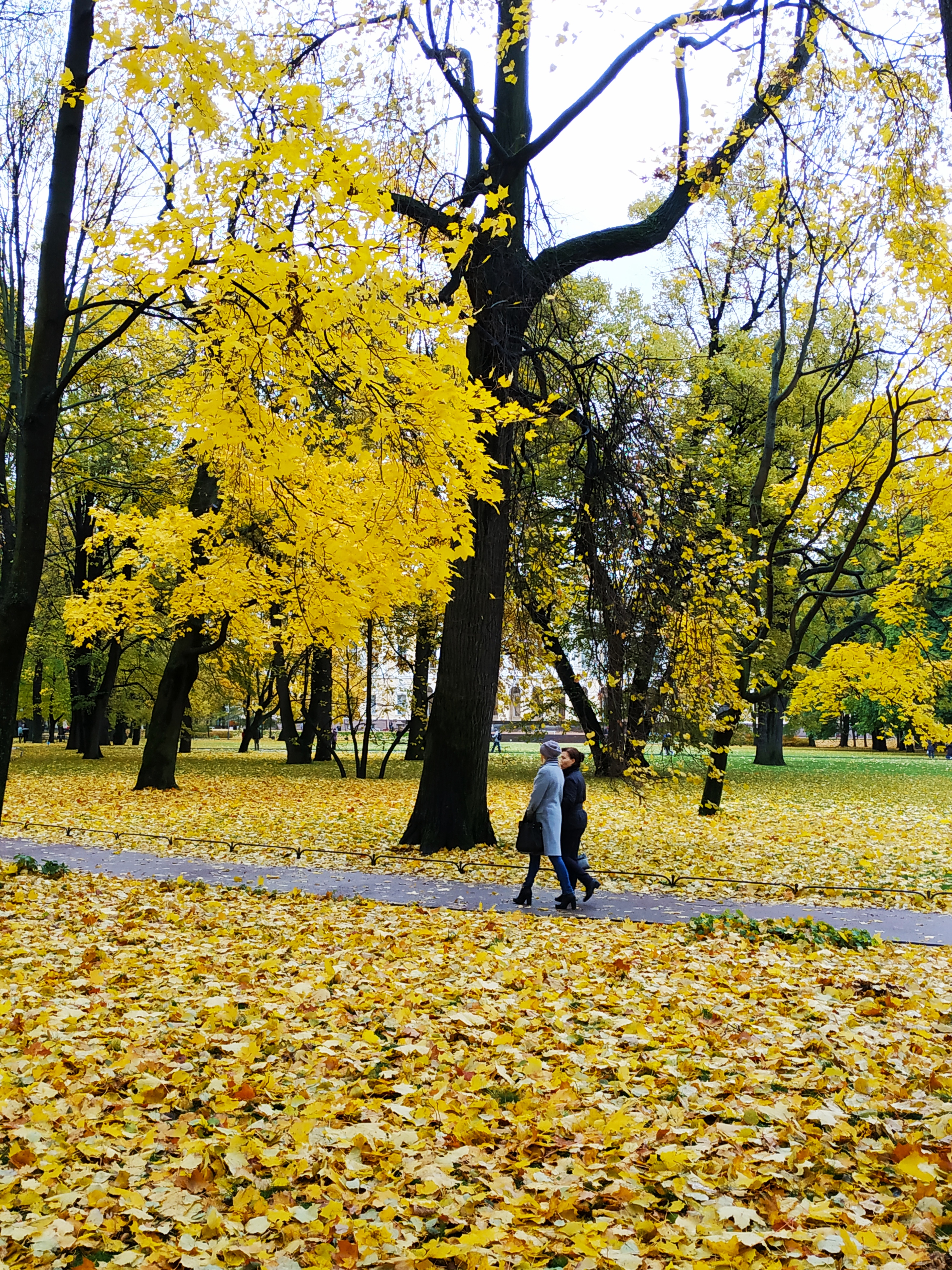 可以去世界各地旅行的职业,可以国外旅游的职业