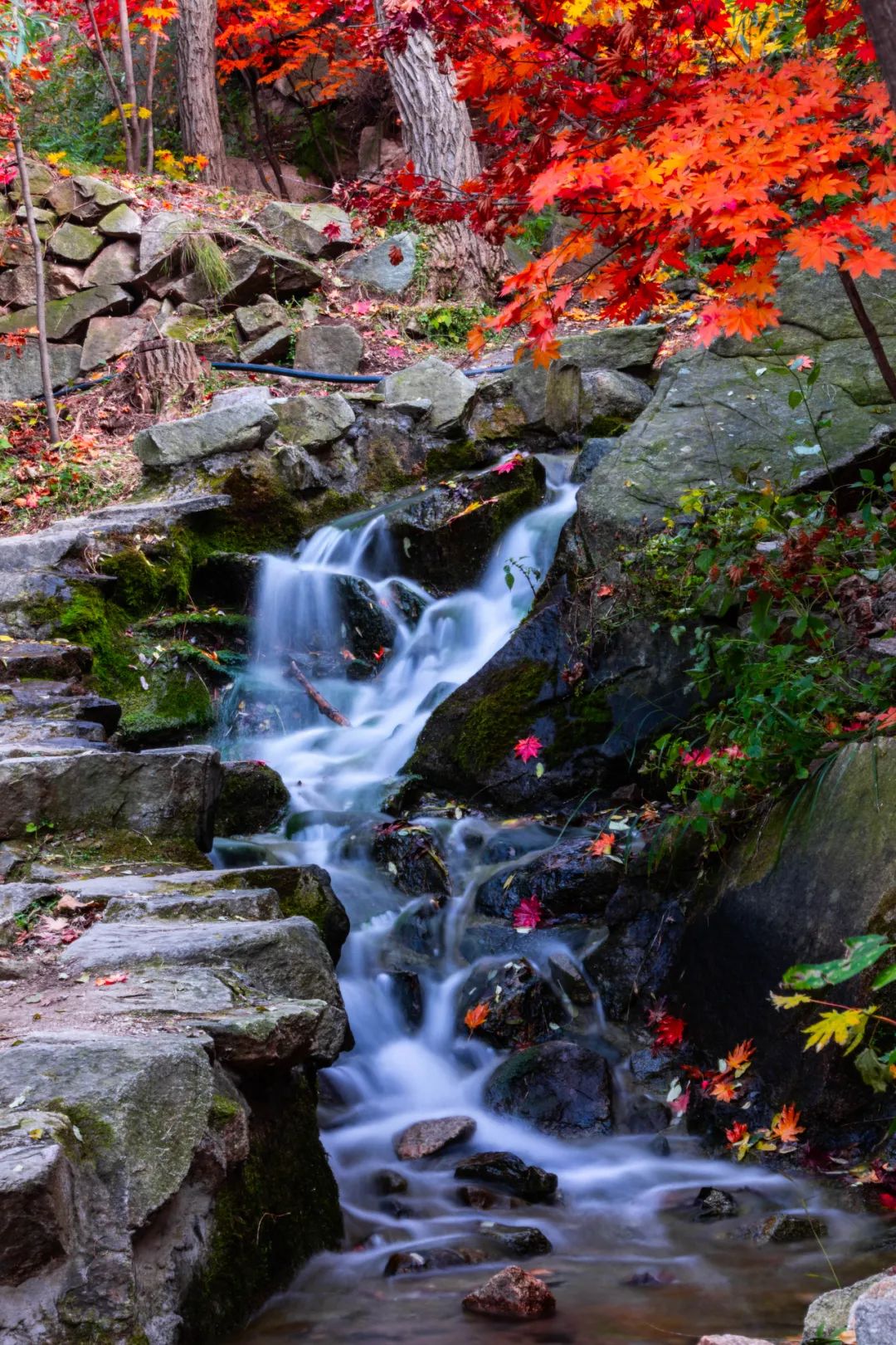 九如山冬日旅游,九如山旅游攻略一日游春季