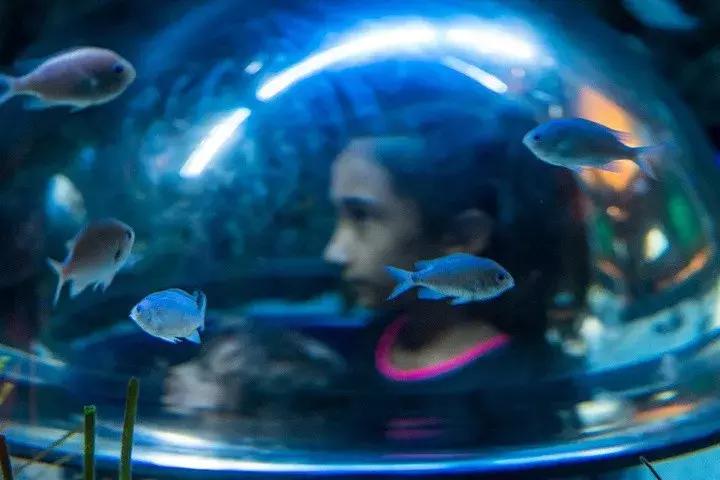 沉浸式乐园强势来袭游客“刷刷刷”不停