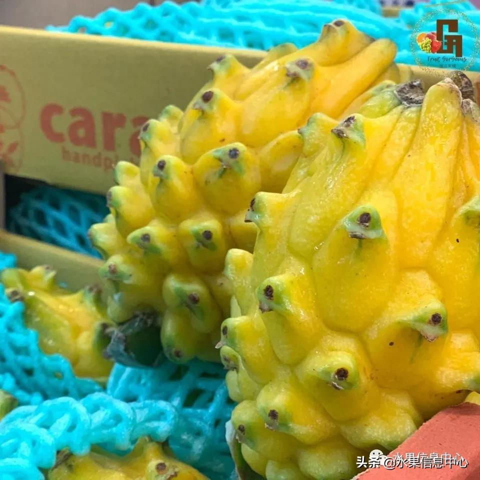 进口水果生意年入千万,批发水果月入百万