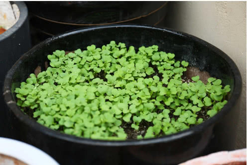 上海杨浦童乐幼儿园,上海浦东新区童乐幼儿园