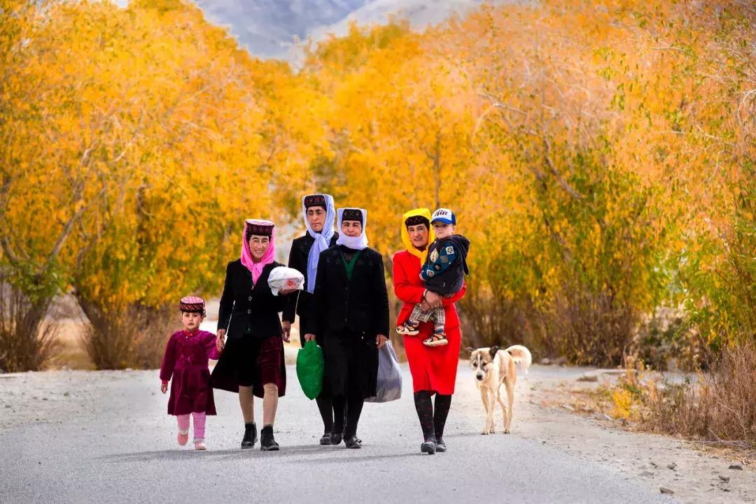 北疆的美完整版,北疆的景最美