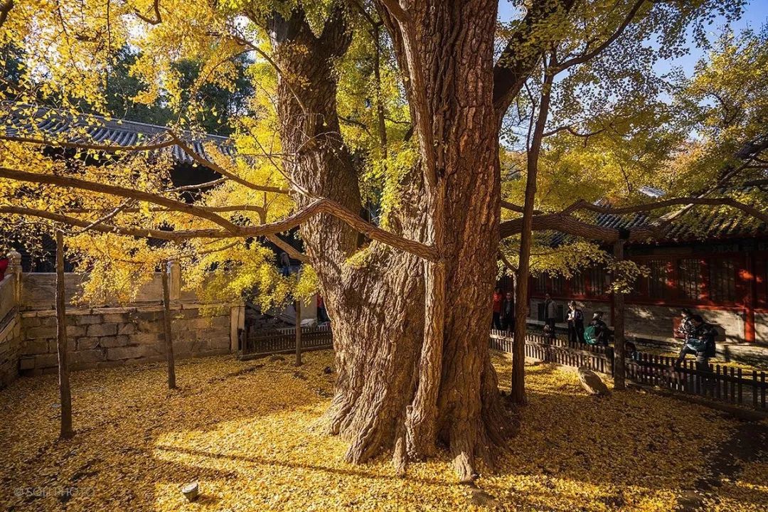 去北京不可错过的地方,不去热门景点游北京