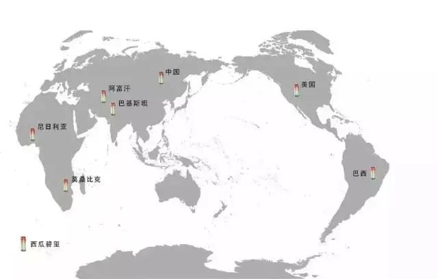 西瓜碧玺慈禧太后,慈禧太后不能吃的食物