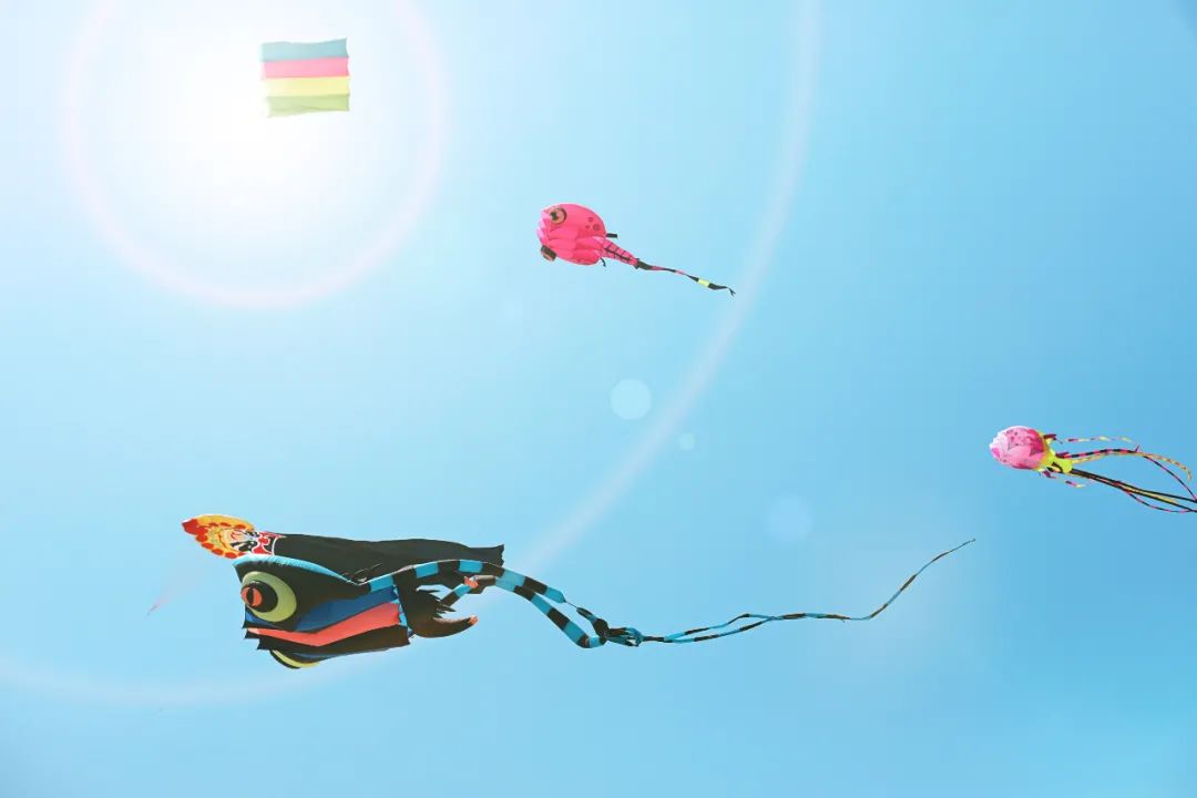 广东适合养老的滨海小镇,广东十个旅居养老圣地