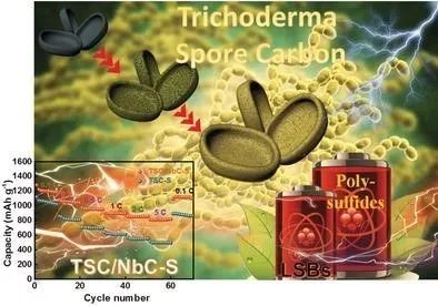 哪些人可以发sci,高中生可以发sci吗