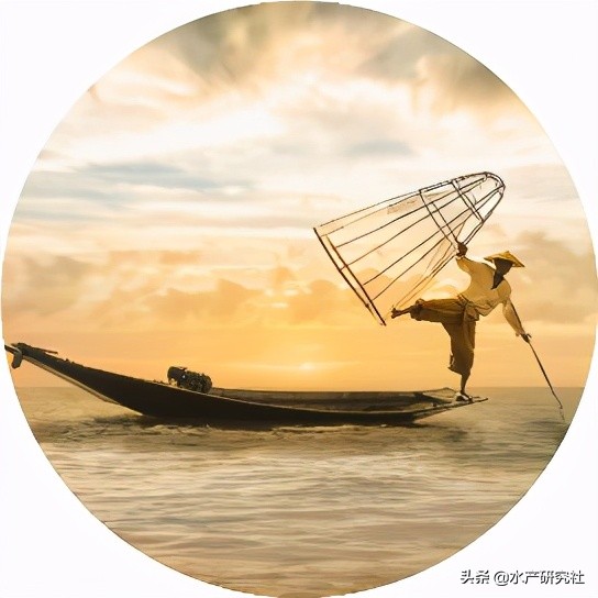 水产养殖专用消毒剂配方比例,水产养殖消毒类的药物有几种