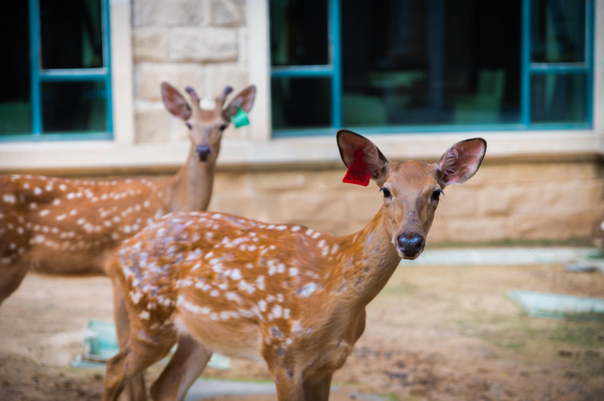 天津亲子游去哪里玩,天津周边自驾亲子游