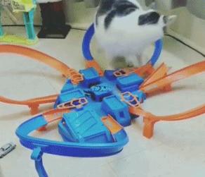 让你心动的搞笑图片,搞笑gif笑死人的动图