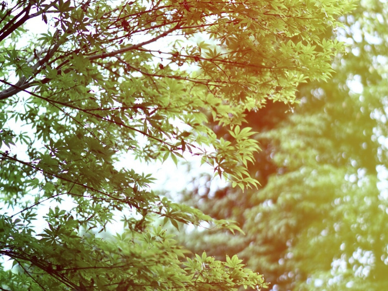 成都机场附近快捷酒店推荐,暑假成都旅游住宿