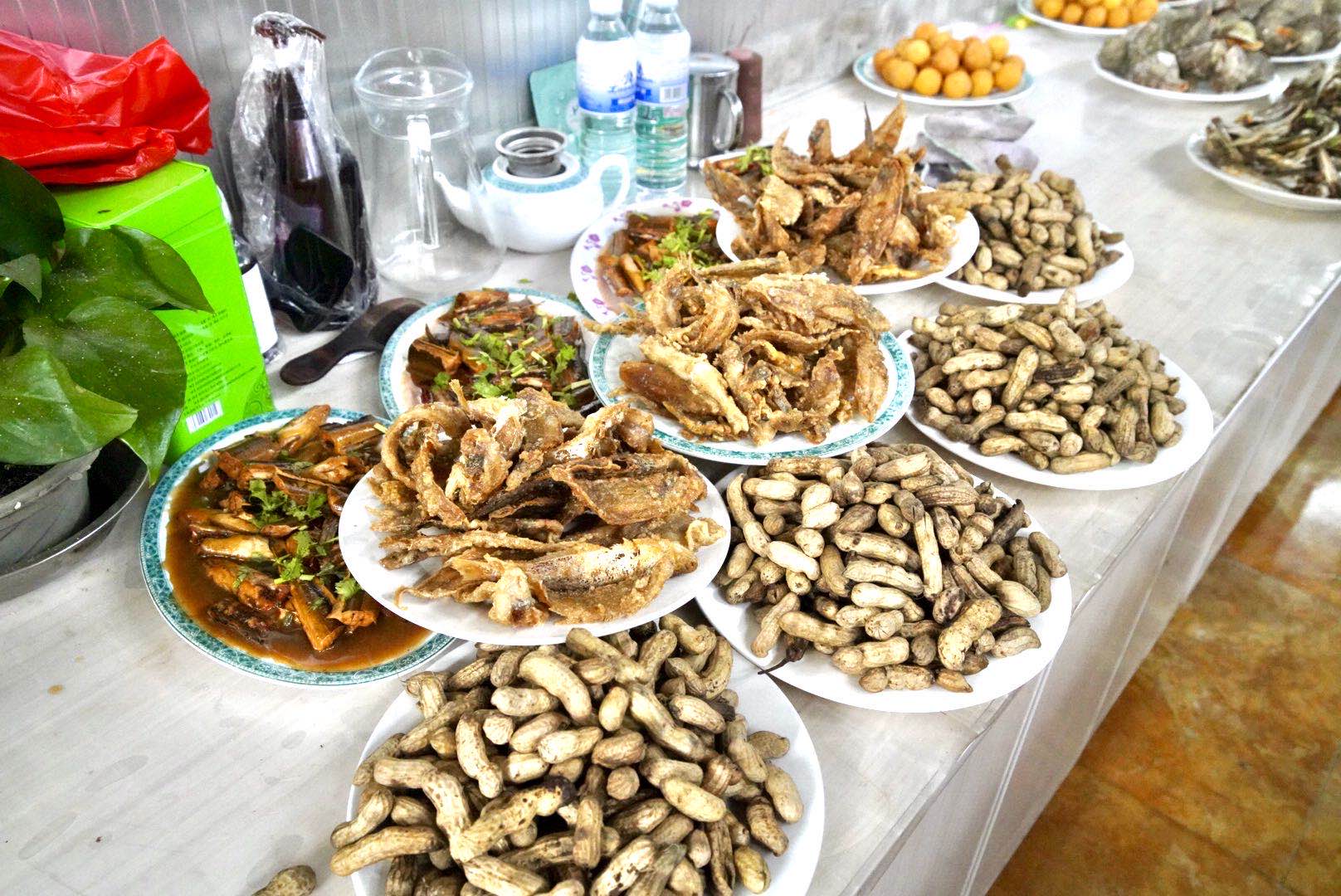 青岛西海岸第二届美丽乡村游,青岛西海岸乡村旅游