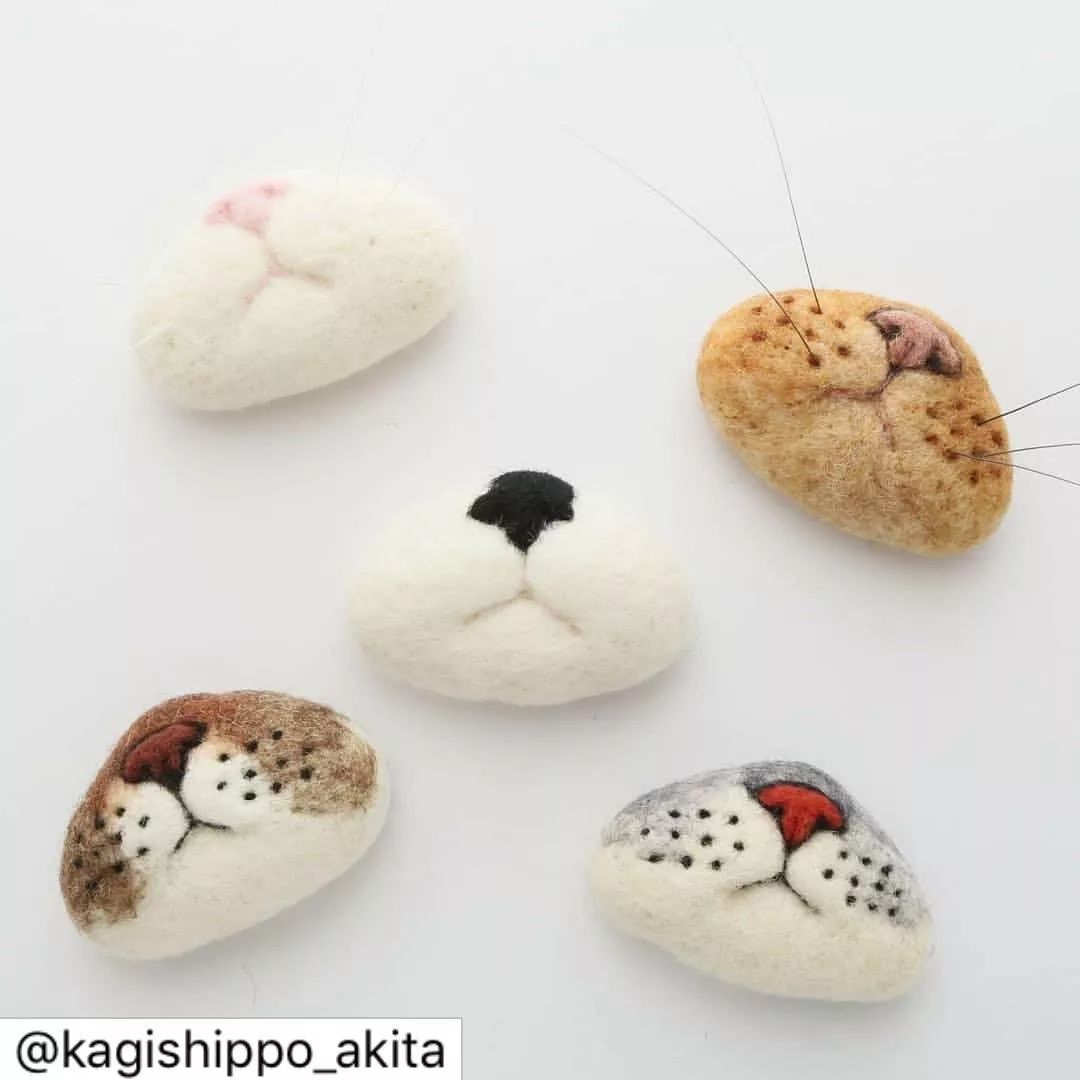 捡到猫胡子会带来什么好运 (捡到猫的胡子真的会有好运吗)