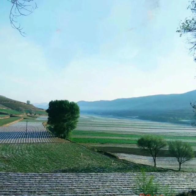 大美汨罗我的家,大美宝丰我的家