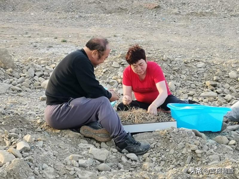 延边朝鲜族特色美食做法,朝鲜族美食手工