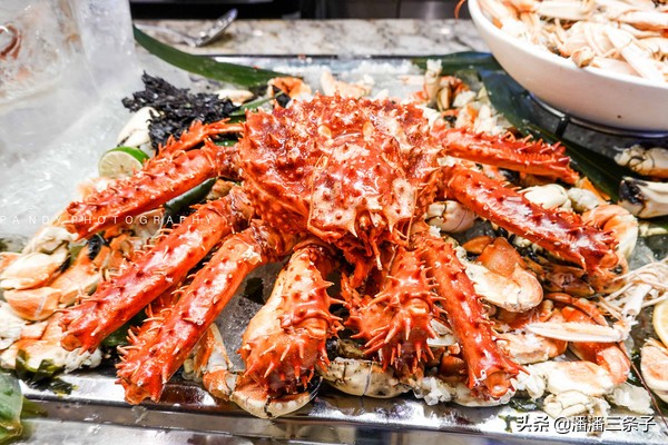 海洋光谱号转港,海洋光谱号玩的项目