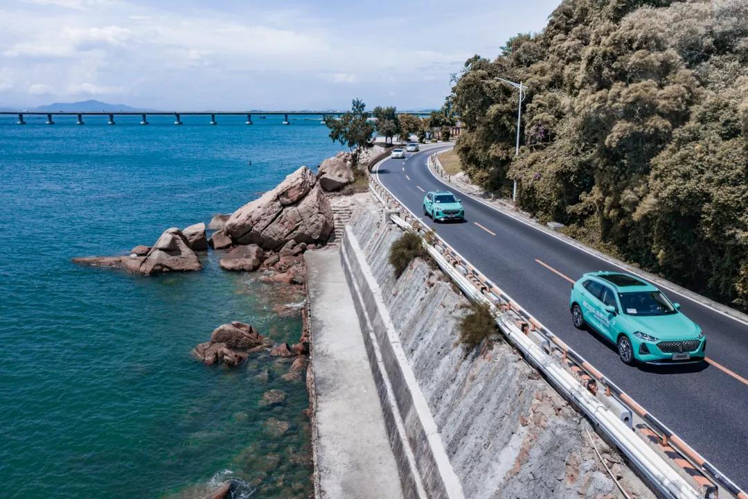 好一朵美丽的花,好一朵美丽的奇葩花