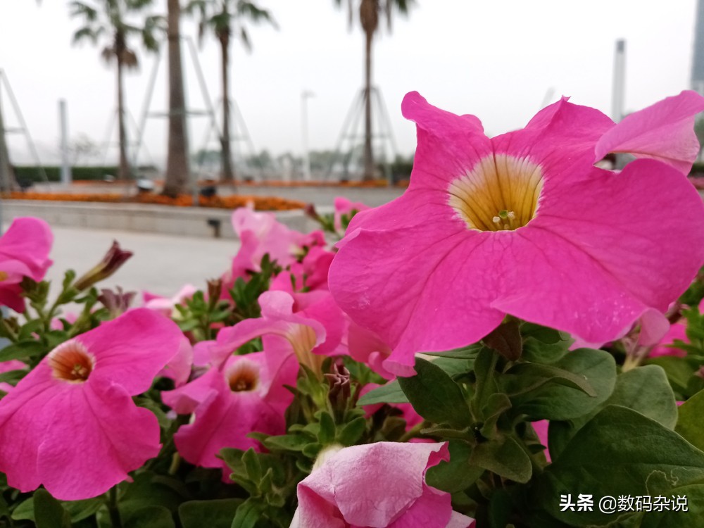 799元荣耀play手机,799元7寸大屏手机荣耀