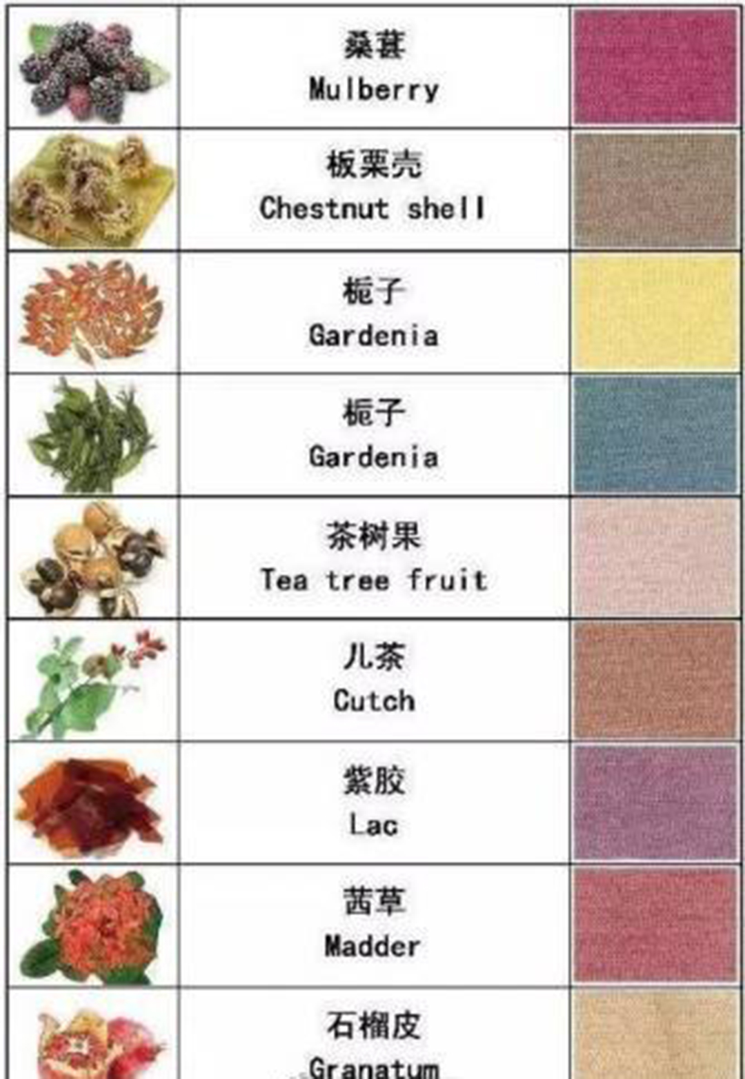 用丝瓜叶子把白T染成最近流行的牛油果绿