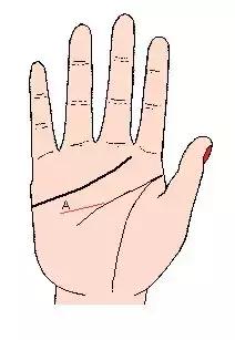 手相解密,手相掌纹分析学