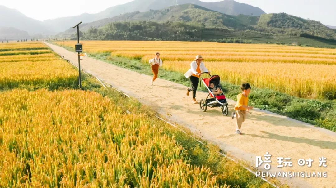 糕妈:二胎后入手的好物,这些一点都不后悔