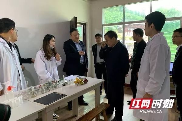 被省委书记惦记的通道小伙正带村民种山果致富