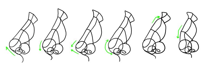 画鼻子怎么画好看,今天来教你怎么画鼻子