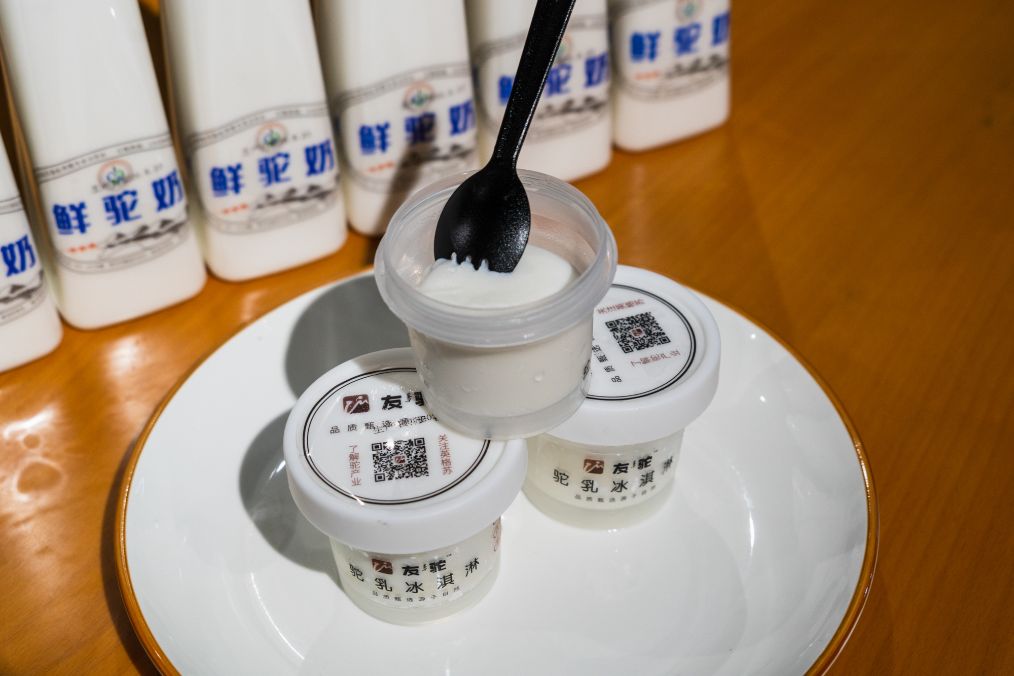 她是滔滔千里黄河的宠儿,阴山之下、河套之上的掌上明珠