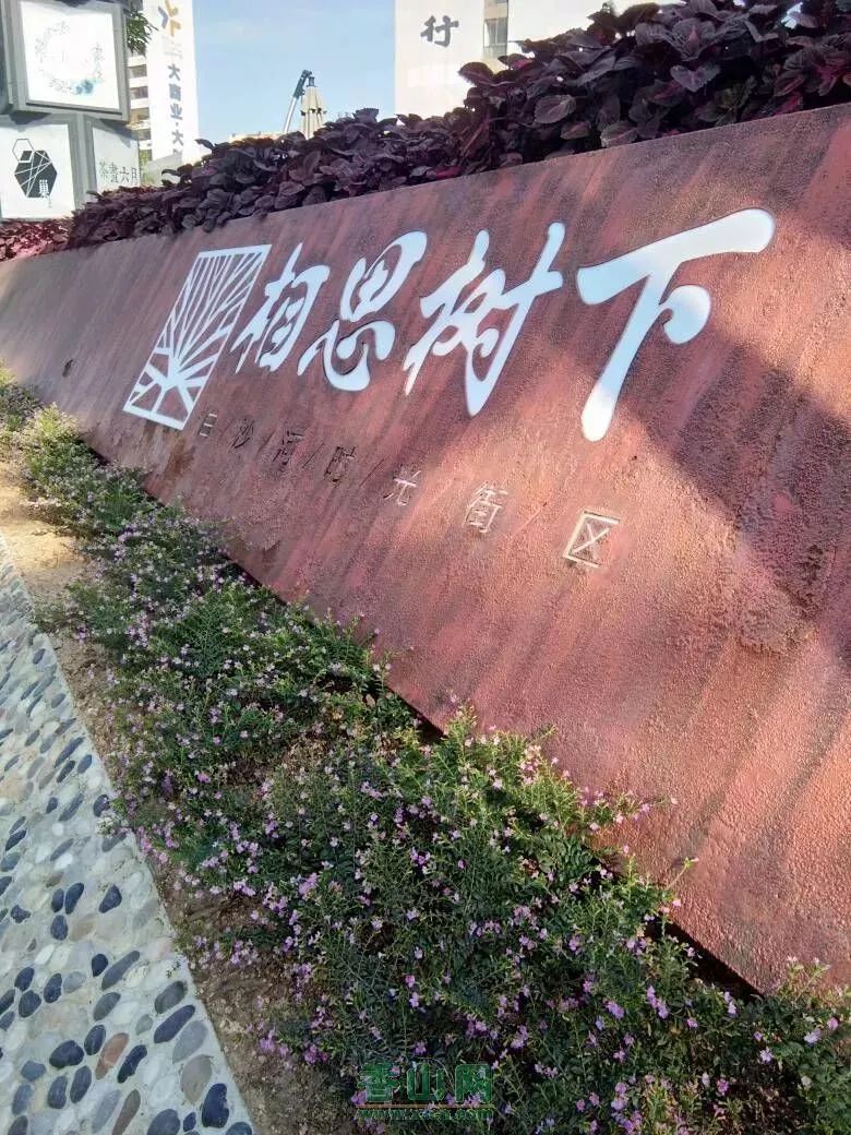 珠海海滩免费旅游景点推荐一日游,珠海免费海边旅游景点推荐