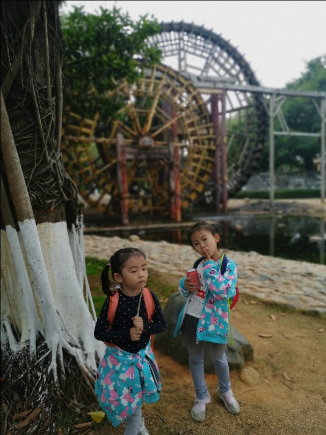 厦门园博苑带娃游玩攻略,厦门遛娃公园