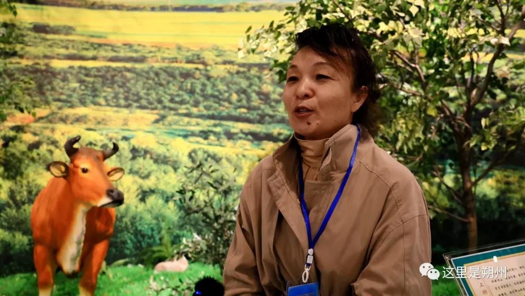 塞上绿洲环境科技有限公司,朔州塞上绿洲唱响生态欢歌