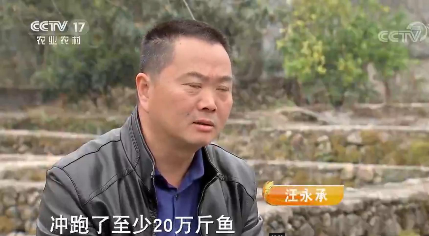 小伙返乡养鱼一亩地赚4份钱,大叔养鱼年赚60万