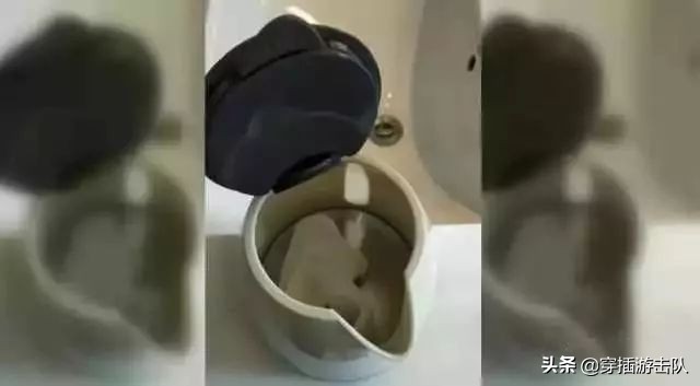 住宾馆为什么在马桶里倒一壶开水,为什么住酒店时要倒一壶开水