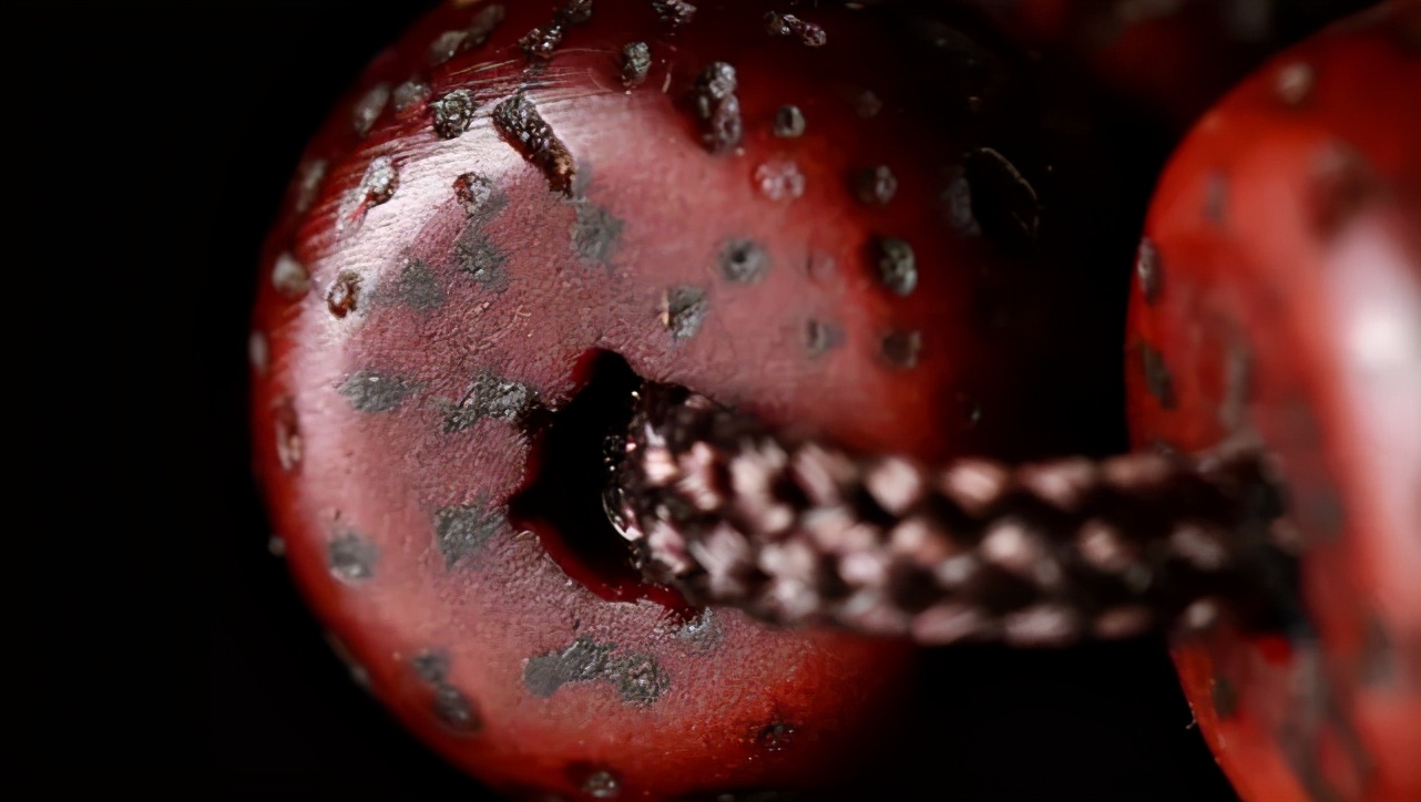 星月菩提中最高形态,星月菩提各个时期的变化