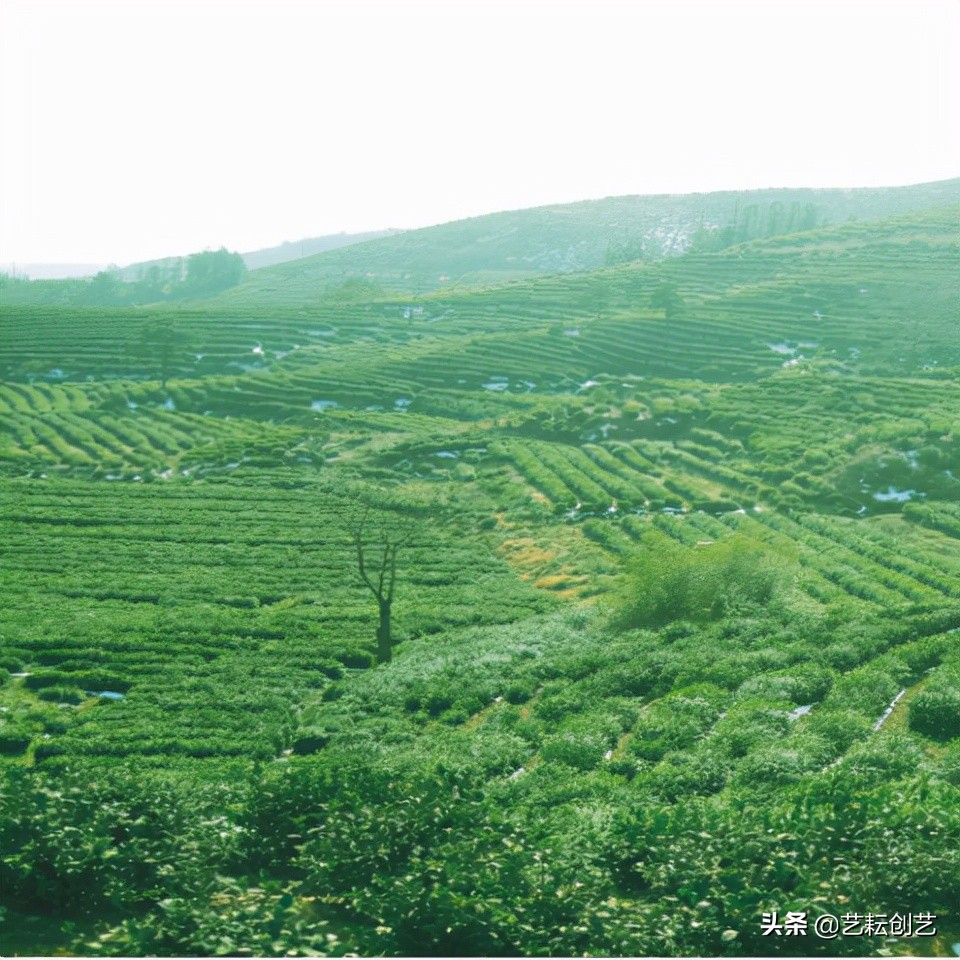 湖北标志性农产品,全国农产品地理标志目录四川