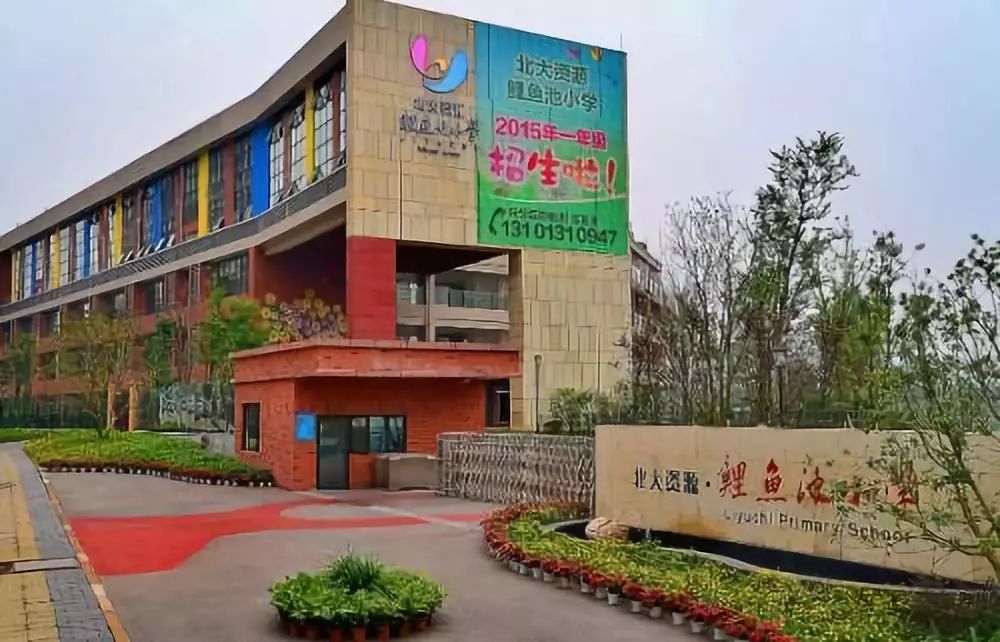 重庆小学费用到底多少钱,重庆的小学凭什么这么贵